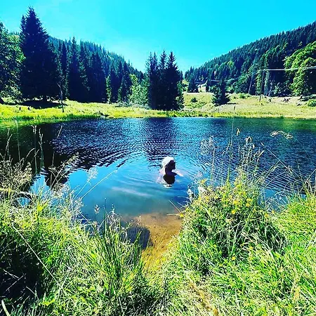 Bed & Breakfast Sporthostel Roessle Schluchsee