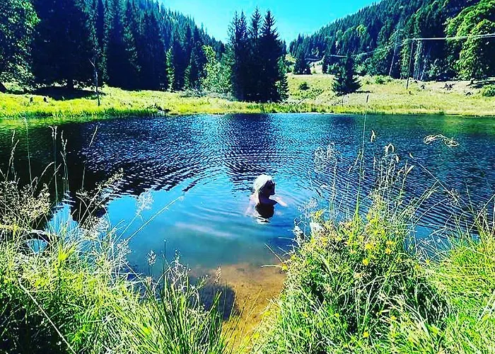 Nocleg ze śniadaniem Sporthostel Roessle Schluchsee